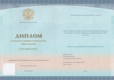 Диплом техникума-колледжа 2023-2025гг (с QR кодом)